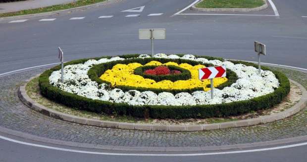 Zenica - Hortikultura GGM